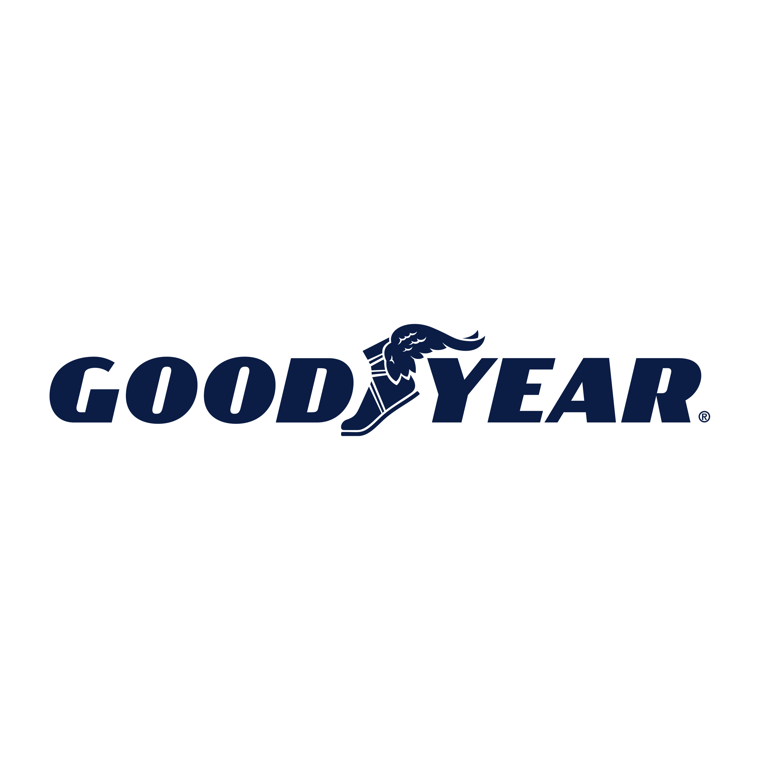 Goodyear Tire & Rubber
