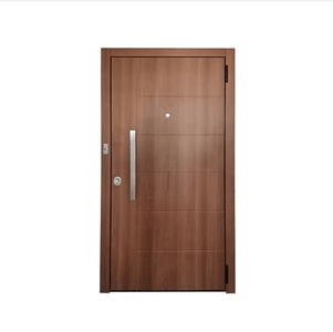Security & Forced-Entry-Resistant Doors
